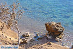 Klein Sandy beach between the dennebomen near Skala | Angistri (Agkistri) - Saronic Gulf Islands - Greece | Photo 5 - Photo JustGreece.com