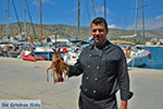 JustGreece.com Babis of Akrogiali restaurant - Katapola Amorgos - Cyclades Photo 545 - Foto van JustGreece.com