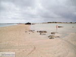 Sandy beach Elafonisi (Elafonissi) | Chania Crete | Chania Prefecture 1 - Photo JustGreece.com