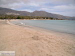 Sandy beach Elafonisi (Elafonissi) | Chania Crete | Chania Prefecture 10 - Photo JustGreece.com