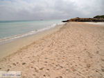 Sandy beach Elafonisi (Elafonissi) | Chania Crete | Chania Prefecture 66 - Photo JustGreece.com