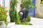 JustGreece.com Karvounades Kythira | Ionian Islands | Greece | Greece  Photo 10 - Foto van JustGreece.com