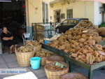 Kalymnos | Greece | Greece  - Photo 028 - Photo JustGreece.com