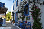 Kos town (Kos-town) | Island of Kos | Greece Photo 54 - Photo JustGreece.com