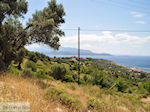 JustGreece.com Landschap Pythagorion - Island of Samos - Foto van JustGreece.com