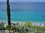 JustGreece.com Olive trees  at beach Lemonakia near Kokkari - Island of Samos - Foto van JustGreece.com