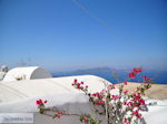 JustGreece.com Fira Santorini (Thira) - Photo 24 - Foto van JustGreece.com