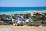 Elafonisi (Elafonissi) Crete - Greece - Photo 45 - Photo JustGreece.com