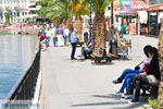 Chalkis (Chalkida) | Greece  - Photo 019 - Photo JustGreece.com