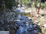 JustGreece.com Riviertje near Mylopotamos | The Holly Mountain of Athos | Mount Athos Area Halkidiki | Greece - Foto van JustGreece.com