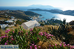 JustGreece.com Ios town - Island of Ios - Cyclades Greece Photo 111 - Foto van JustGreece.com