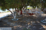 JustGreece.com Koumbara Beach Ios town - Island of Ios - Cyclades Photo 433 - Foto van JustGreece.com