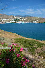 JustGreece.com Tzamaria beach Ios town - Island of Ios - Cyclades Greece Photo 446 - Foto van JustGreece.com