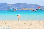 Koufonissi - Koufonissia islands | Cyclades | Greece  | nr 101 - Photo JustGreece.com