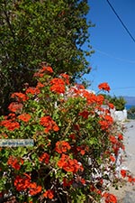 Kaliviani Crete - Chania Prefecture - Photo 3 - Photo JustGreece.com