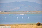 Bay Kalloni Lesbos | Greece | Greece  9 - Photo JustGreece.com