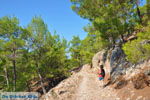 Near Waterfalls Pesas | Lesbos Greece | Greece  10 - Photo JustGreece.com