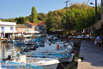 Sykaminia - Skala Sykaminia | Lesbos | Greece  11 - Photo JustGreece.com