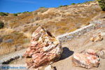 JustGreece.com Petrified forest near Sigri | Lesbos Greece | Photo 20 - Foto van JustGreece.com