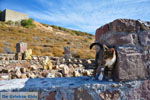 JustGreece.com Petrified forest near Sigri | Lesbos Greece | Photo 28 - Foto van JustGreece.com