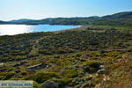 JustGreece.com Near Gomati and woestijn Amothines Katalakos Limnos (Lemnos) Photo 9 - Foto van JustGreece.com