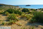 JustGreece.com Near Gomati and woestijn Amothines Katalakos Limnos (Lemnos) Photo 20 - Foto van JustGreece.com