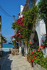 JustGreece.com Agia Anna Naxos - Cyclades Greece - nr 32 - Foto van JustGreece.com