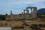 JustGreece.com Ano Sangri Naxos - Cyclades Greece- nr 14 - Foto van JustGreece.com