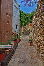 JustGreece.com Kato Sangri Naxos - Cyclades Greece- nr 39 - Foto van JustGreece.com