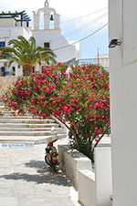 JustGreece.com Naxos town - Cyclades Greece - nr 6 - Foto van JustGreece.com