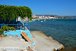 JustGreece.com Ireon Samos | Greece | Greece  Photo 32 - Foto van JustGreece.com