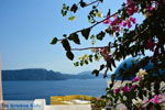 JustGreece.com Oia Santorini | Cyclades Greece | Photo 1019 - Foto van JustGreece.com