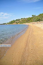 Aghia Paraskevi (Platanias beach) | Skiathos Sporades | Greece  Photo 14 - Photo JustGreece.com