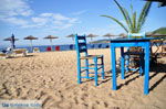 Aghia Paraskevi (Platanias beach) | Skiathos Sporades | Greece  Photo 32 - Photo JustGreece.com