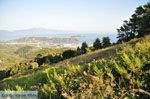 JustGreece.com PanoramaPhoto Skiathos town | Skiathos Sporades | Greece  Photo 8 - Foto van JustGreece.com