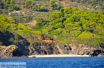 The green eastern coast of Skopelos | Sporades | Greece  Photo 9 - Photo JustGreece.com