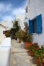 JustGreece.com Kardiani Tinos | Greece | Photo 12 - Foto van JustGreece.com