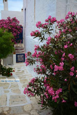 JustGreece.com Pyrgos Tinos | Greece | Fotto 48 - Foto van JustGreece.com