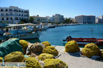 JustGreece.com Tinos town | Greece | Greece  Photo 40 - Foto van JustGreece.com