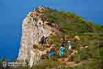 Shipwreck - Navagio Zakynthos - Ionian Islands -  Photo 7 - Photo JustGreece.com